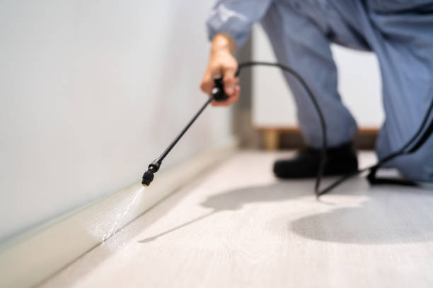 Licensed Mosquito Control service in Columbia, CA - Nex Pest Control