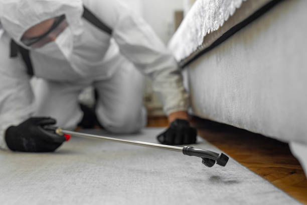 Professional Mosquito Control technician working in Columbia, CA
