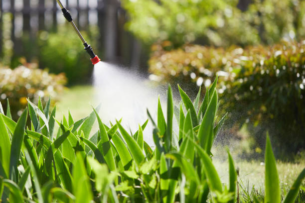 24/7 Emergency Mosquito Control experts in Columbia, CA