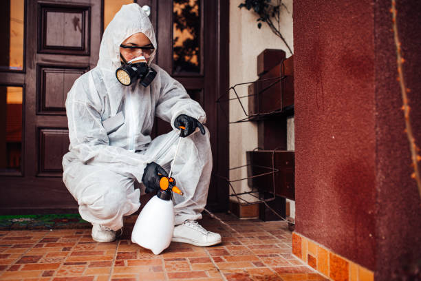 Reliable Mosquito Control contractor in Columbia, CA by Nex Pest Control