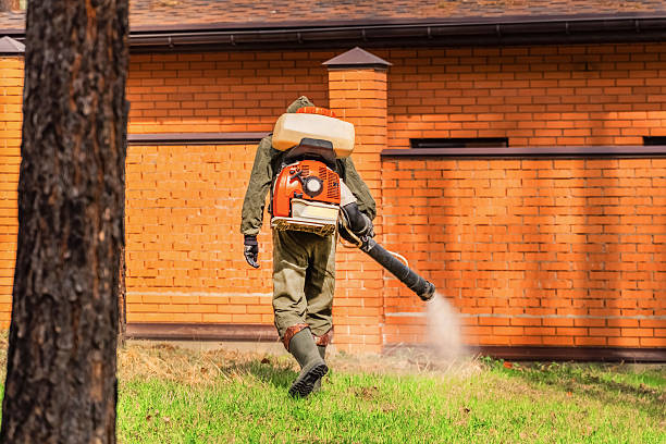 Top rated local Mosquito Control specialists in Columbia, CA